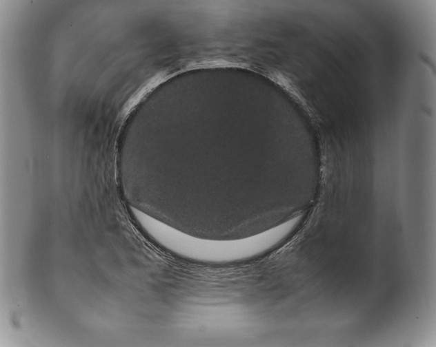 X0000100491173200806271230