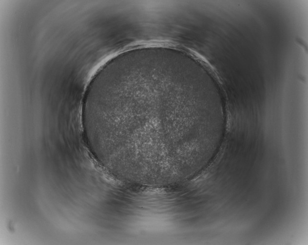 X0000100491174200806271230