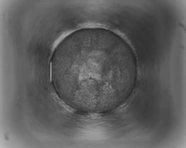 X0000100491175200806271230