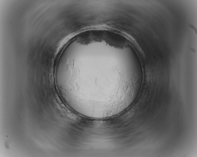 X0000100491176200806271230