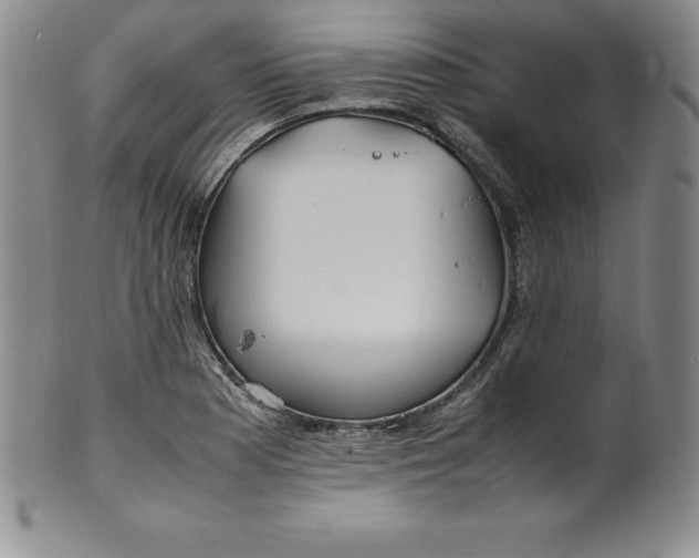 X0000100491177200806271230