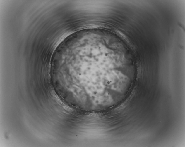 X0000100491178200806271230