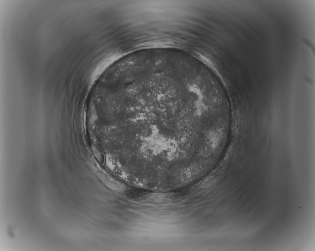 X0000100491179200806271230