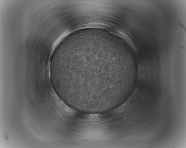 X0000100491180200806271230