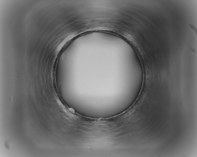 X0000100491181200806271230