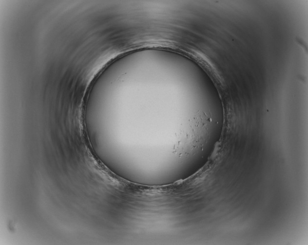 X0000100491182200806271230