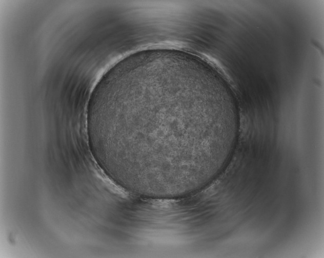 X0000100491184200806271230