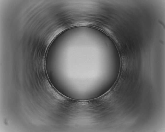 X0000100491186200806271230