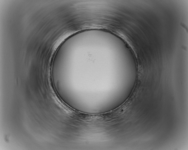 X0000100491187200806271230