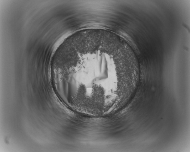 X0000100491188200806271230