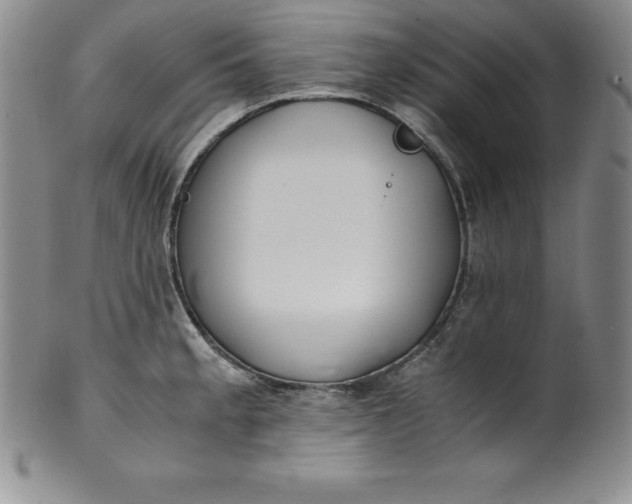 X0000100491189200806271230