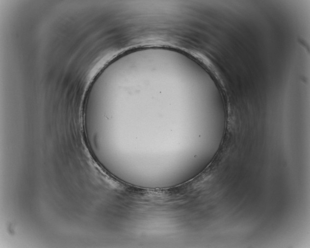 X0000100491191200806271229