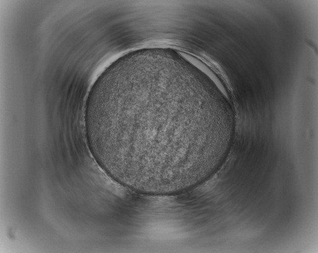 X0000100491192200806271229