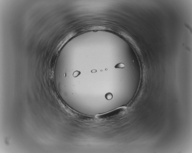 X0000100491193200806271229