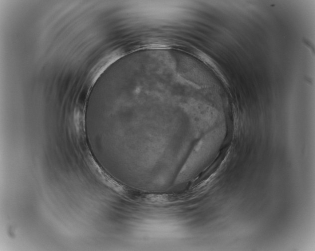 X0000100491194200806271229