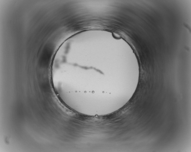 X0000100491195200806271229