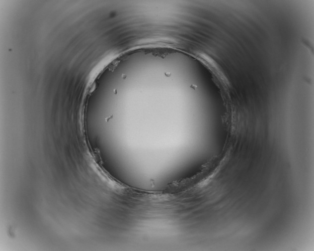 X0000100491196200806271229