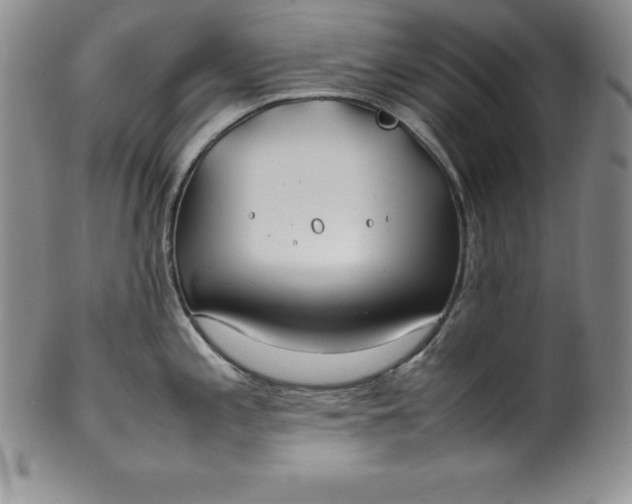 X0000100491197200806271229