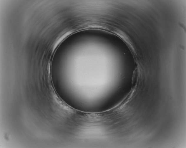 X0000100491198200806271229