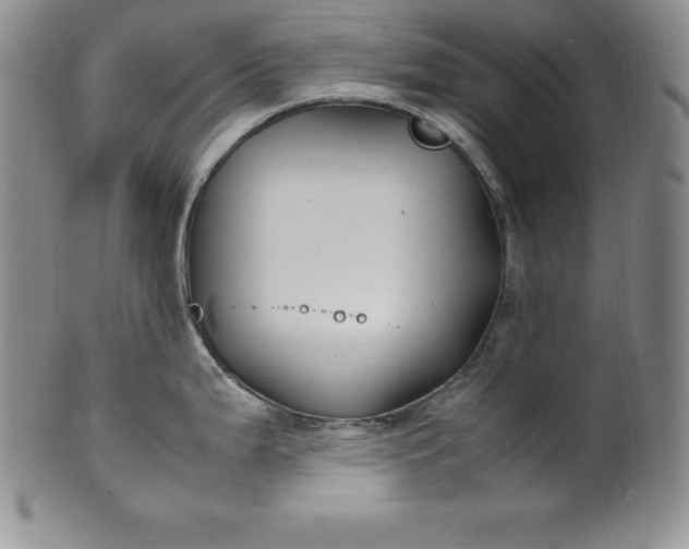 X0000100491199200806271229