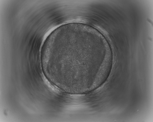 X0000100491200200806271229