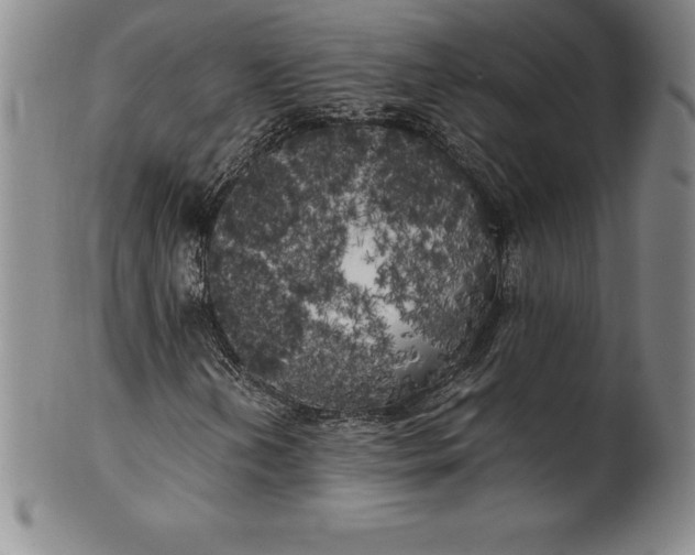 X0000100491202200806271229