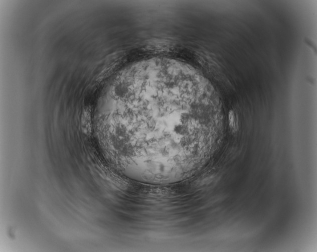 X0000100491203200806271229