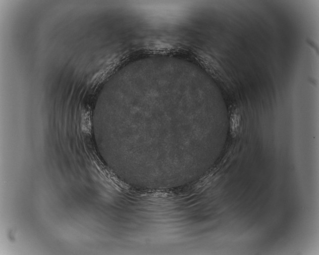 X0000100491204200806271229