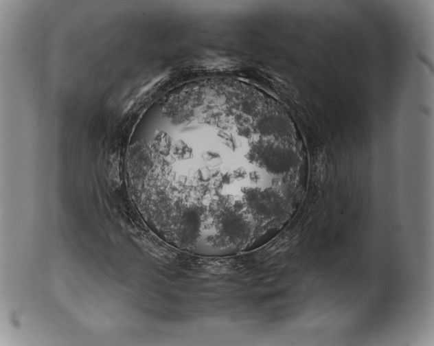 X0000100491205200806271229