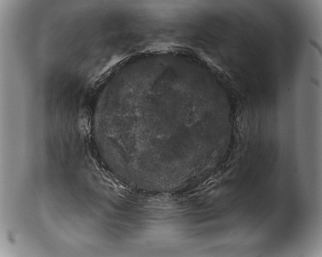 X0000100491206200806271229