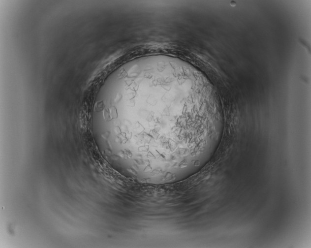 X0000100491207200806271229