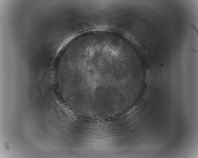 X0000100491208200806271229