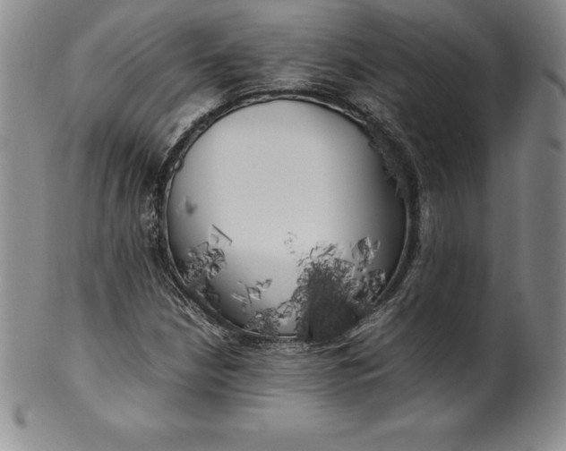 X0000100491210200806271229