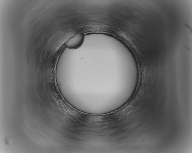 X0000100491211200806271229