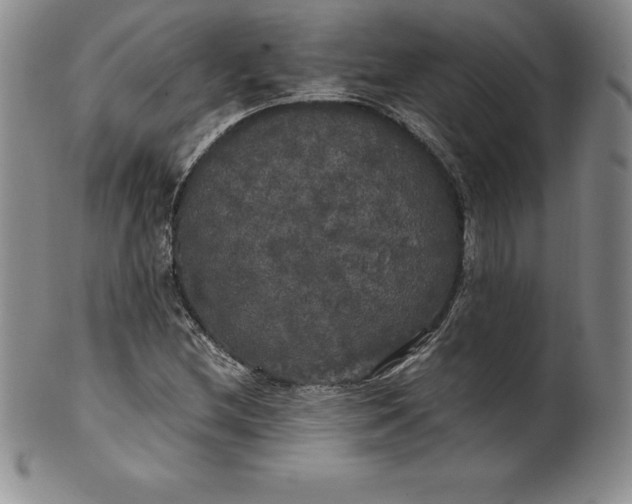 X0000100491212200806271229