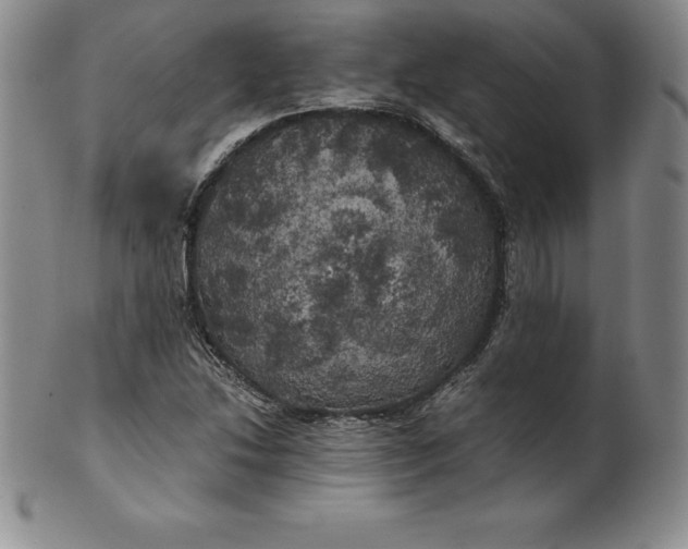 X0000100491214200806271229