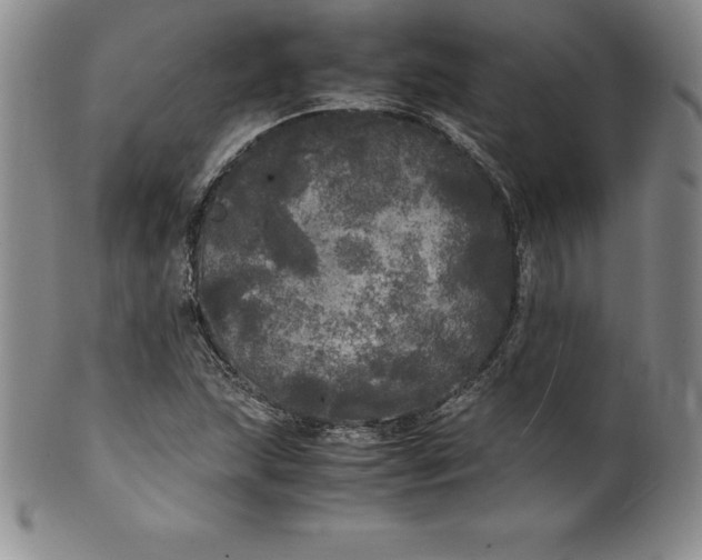 X0000100491215200806271229