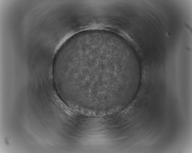 X0000100491216200806271229