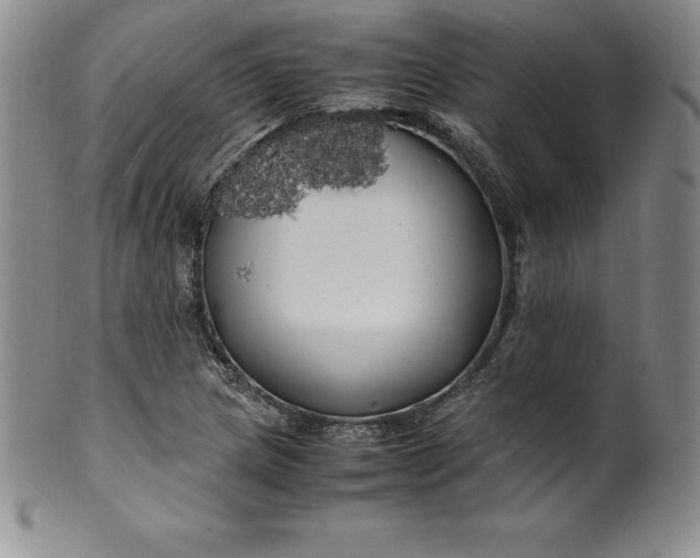 X0000100491217200806271229