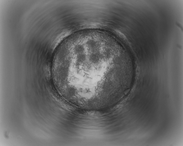 X0000100491218200806271229