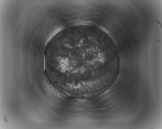 X0000100491219200806271229