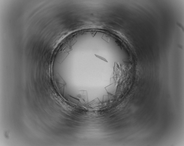 X0000100491220200806271229