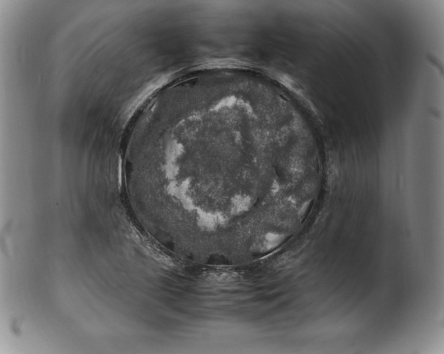 X0000100491221200806271229