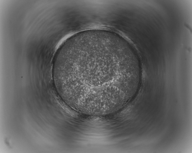 X0000100491222200806271229