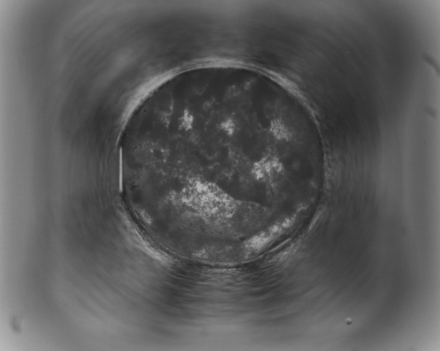 X0000100491223200806271229