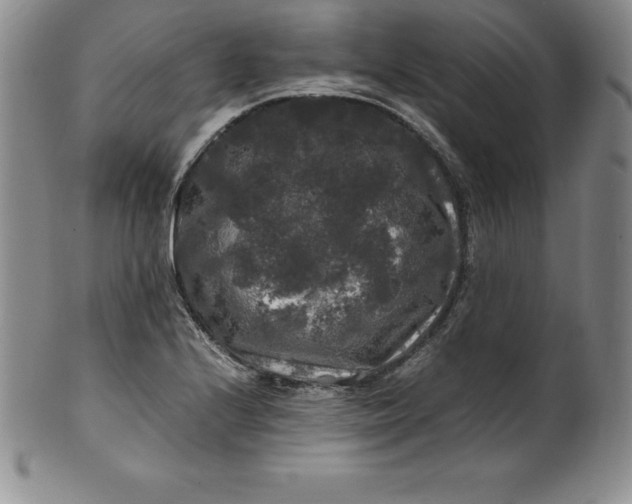 X0000100491224200806271229