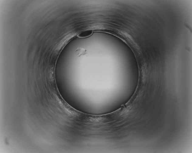 X0000100491225200806271229