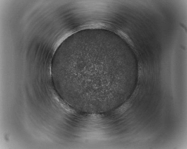 X0000100491226200806271229