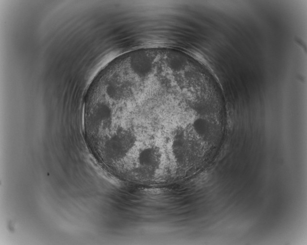 X0000100491227200806271229