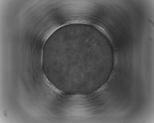 X0000100491228200806271229